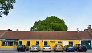 Mehr über den Artikel erfahren Weihnachtsfeier des MBC AUSTRIA